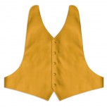 Gold Backless Vest