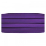 Satin Cummerbund and Bow Tie Set  in Plum