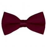 Satin Burgandy Bowtie