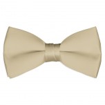 Satin Champagne Bowtie