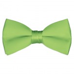 Satin Lime Green Bowtie