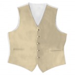 Satin Full Back Tuxedo Vest in Champagne