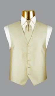 Ralph Lauren (Vineyard) Ivory  Tuxedo Vest